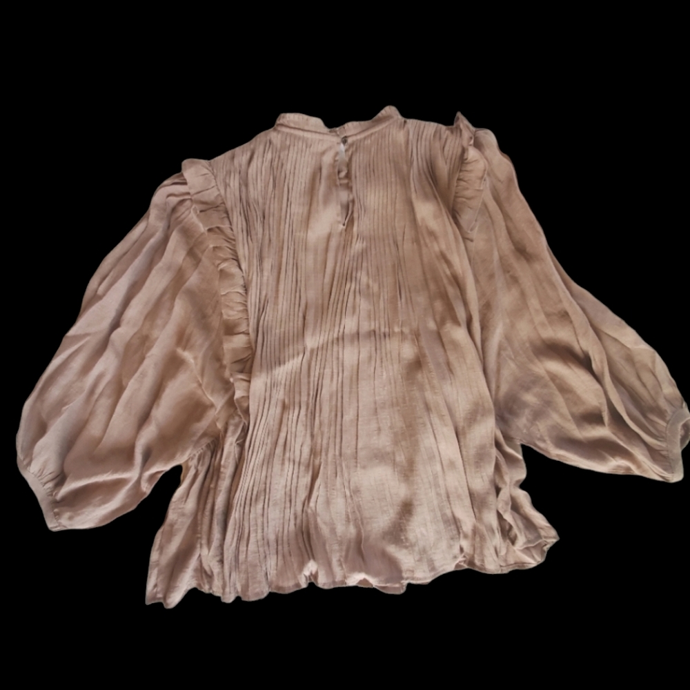 Pleated Ruffled Blouse - Picture 6 of 8